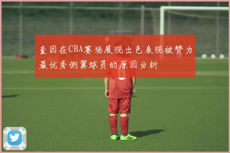 奎因在CBA赛场展现出色表现被赞为最优秀侧翼球员的原因分析